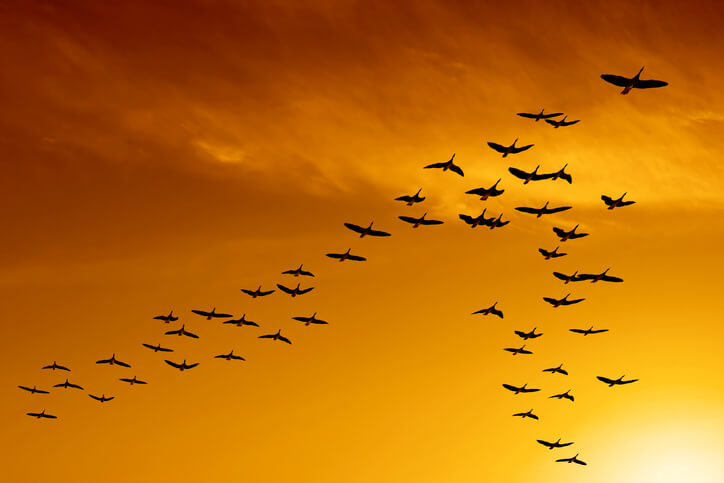 Aircraft Performance By Mother Nature 5 High altitude aerodynamics