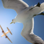 Aviation Safety Action Program