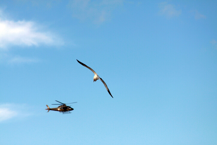 Flight Plan | Rotorcraft Pilots Consider Bird Migration 4 Safety management systems